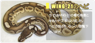 WING-21のヘビ